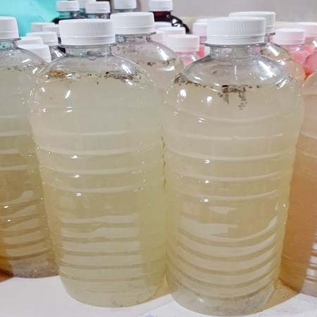 Agua Fresca Limón con Chia 1 Lt