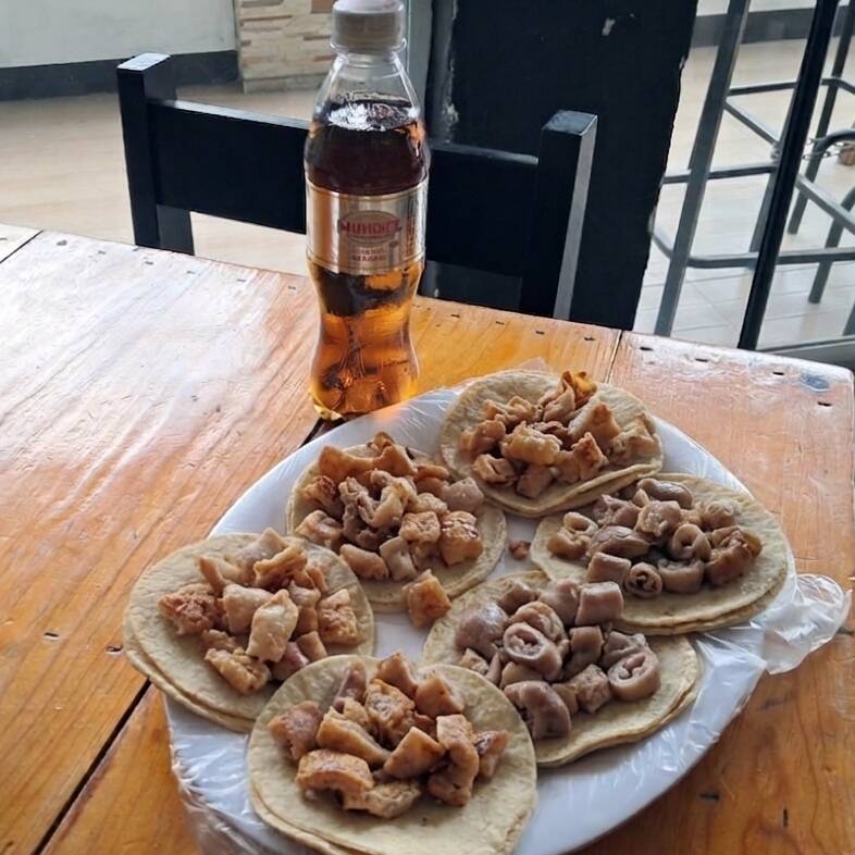 COMBO TRIPA