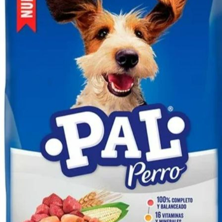 Pal Perro