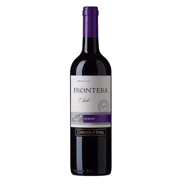 Frontera merlot concha y toro botella vino
