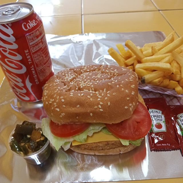 Combo Hamburguesa de Pollo