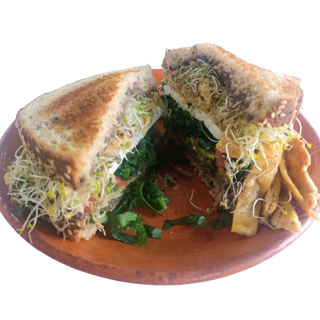 Sandwich Nutricional
