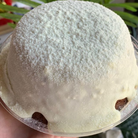 CASEIRINHO VULCÃO NINHO