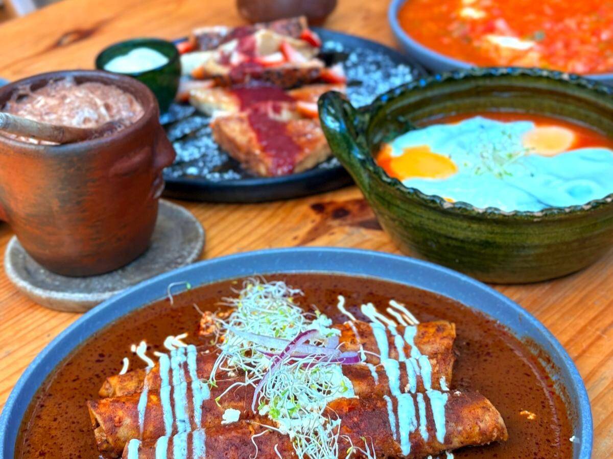 Molinillo Café Plantas y Más