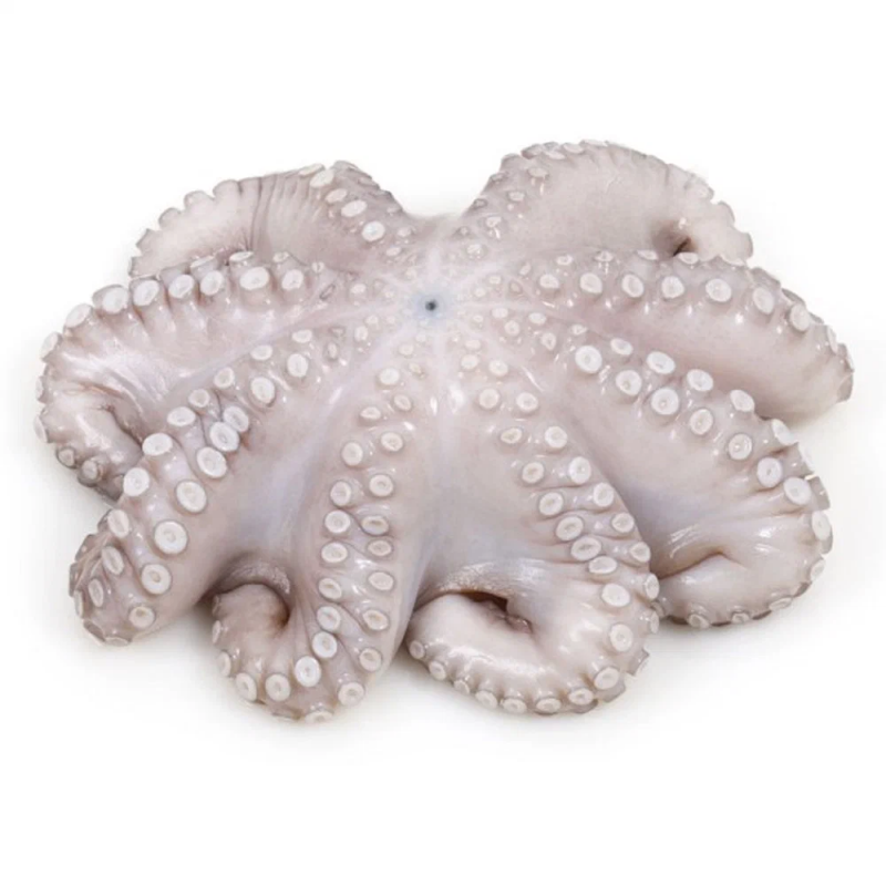 PULPO CRUDO