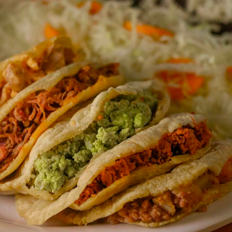 Gordita