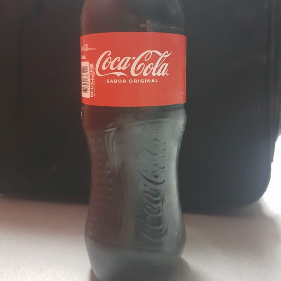 Coca Cola 600 Mililitros
