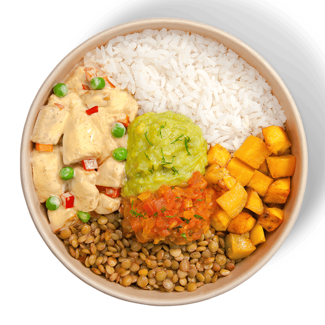 Mega Fricasé de pollo