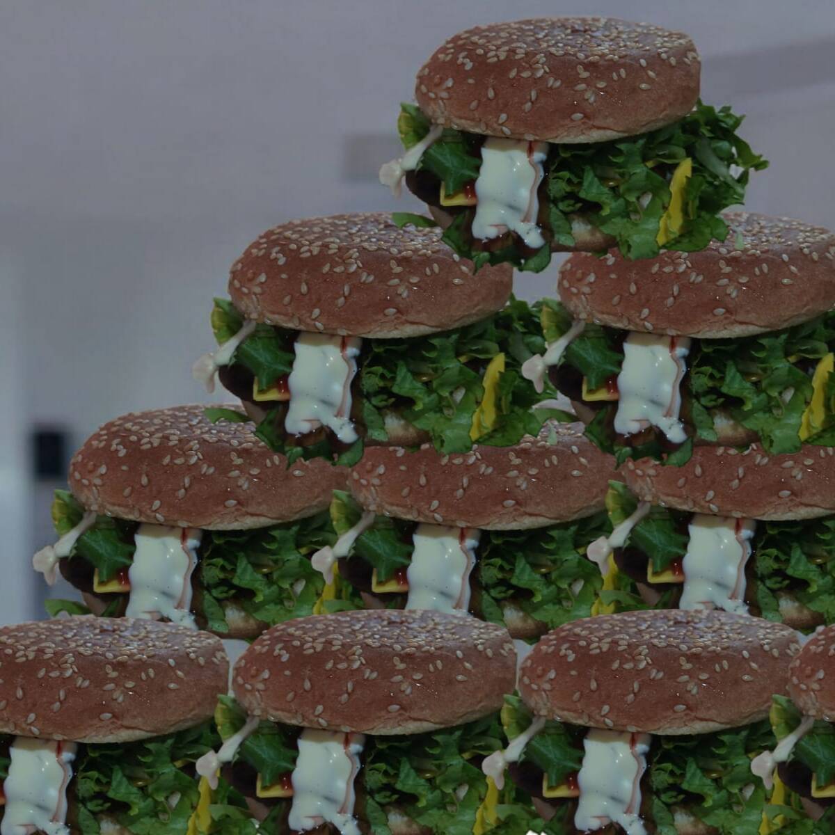 PROMO 10 HAMBURGUESAS + PAPAS FRITAS