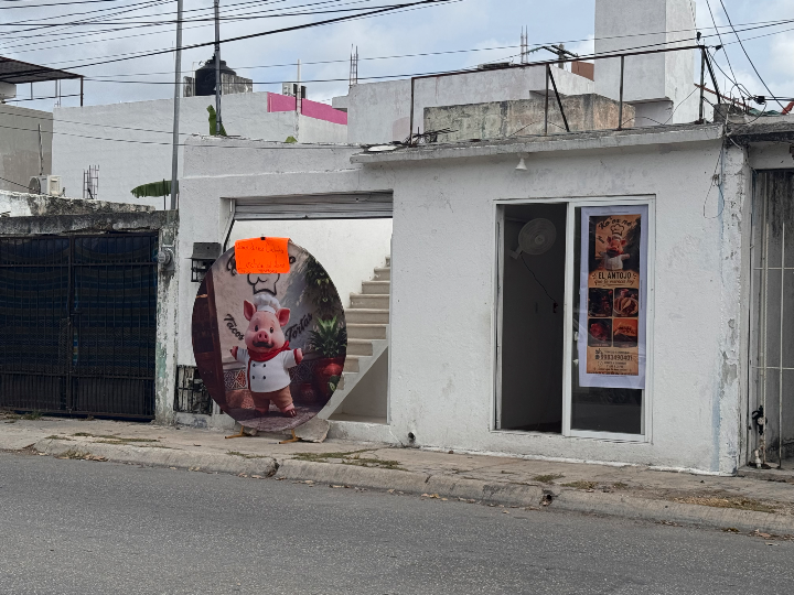 Koox Ne Cochinita Y Lechon Al Horno