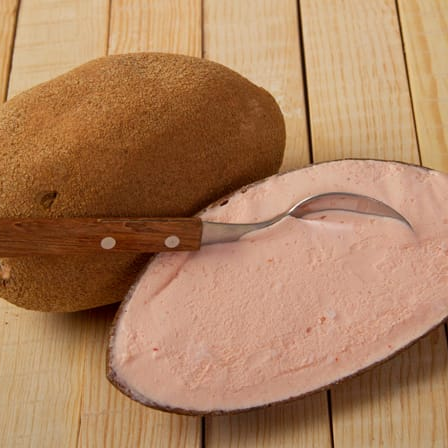 Nieve de Mamey Artesanal
