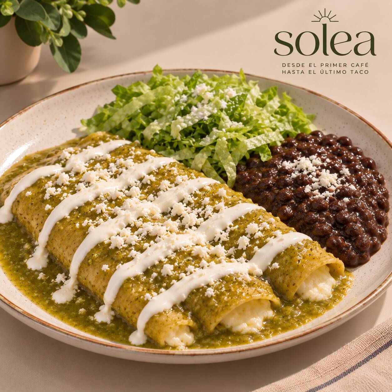 Enchiladas