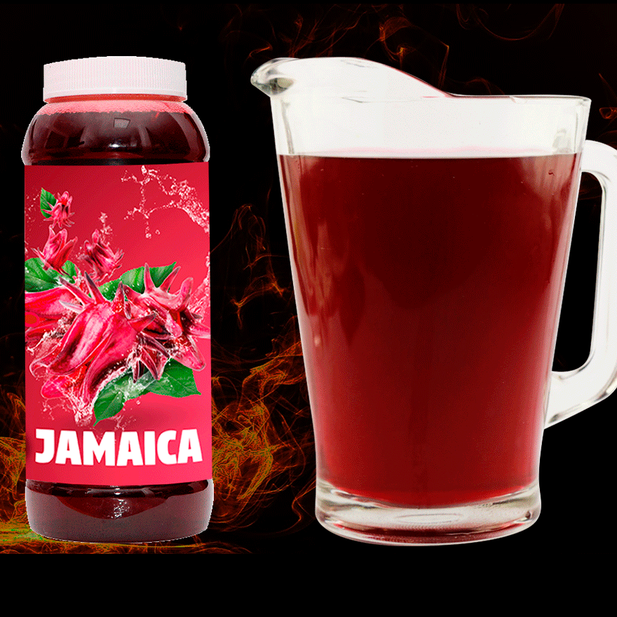 Agua De Jamaica 1L