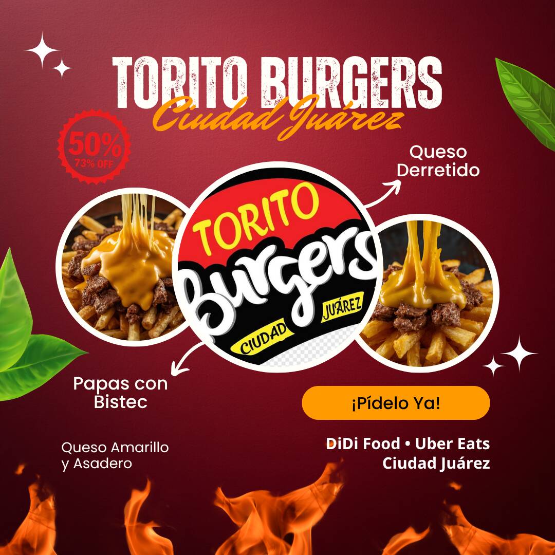 Papas Fritas con Bistec
