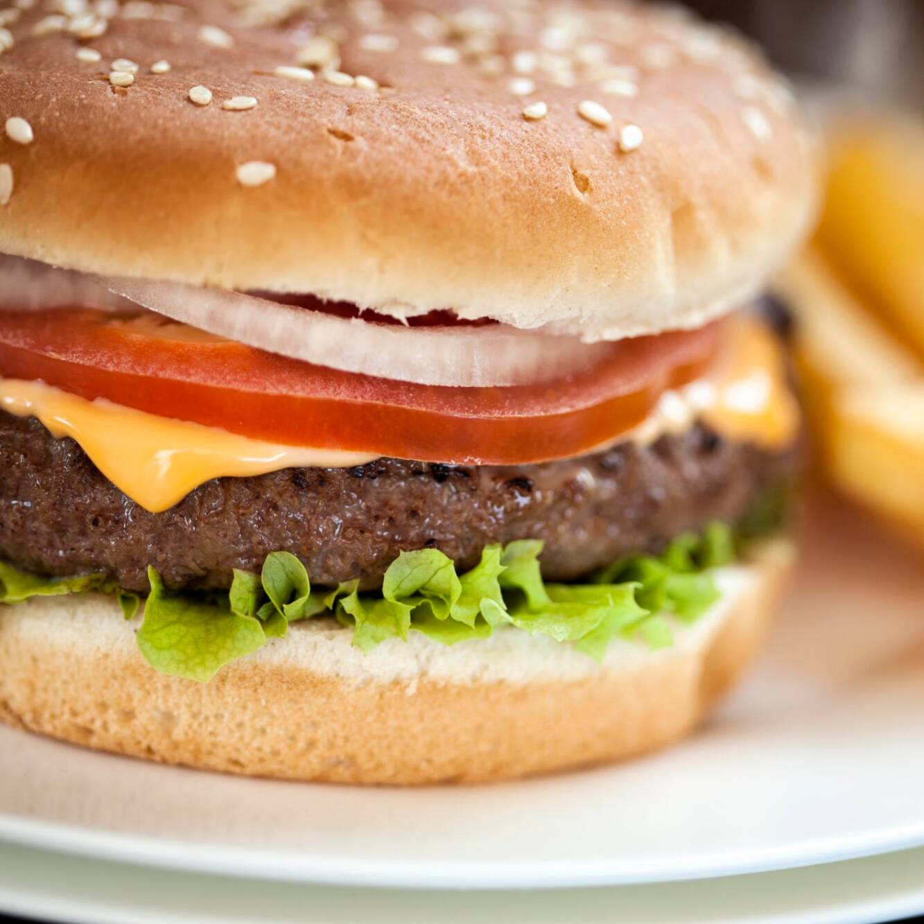 Burger Especial Res