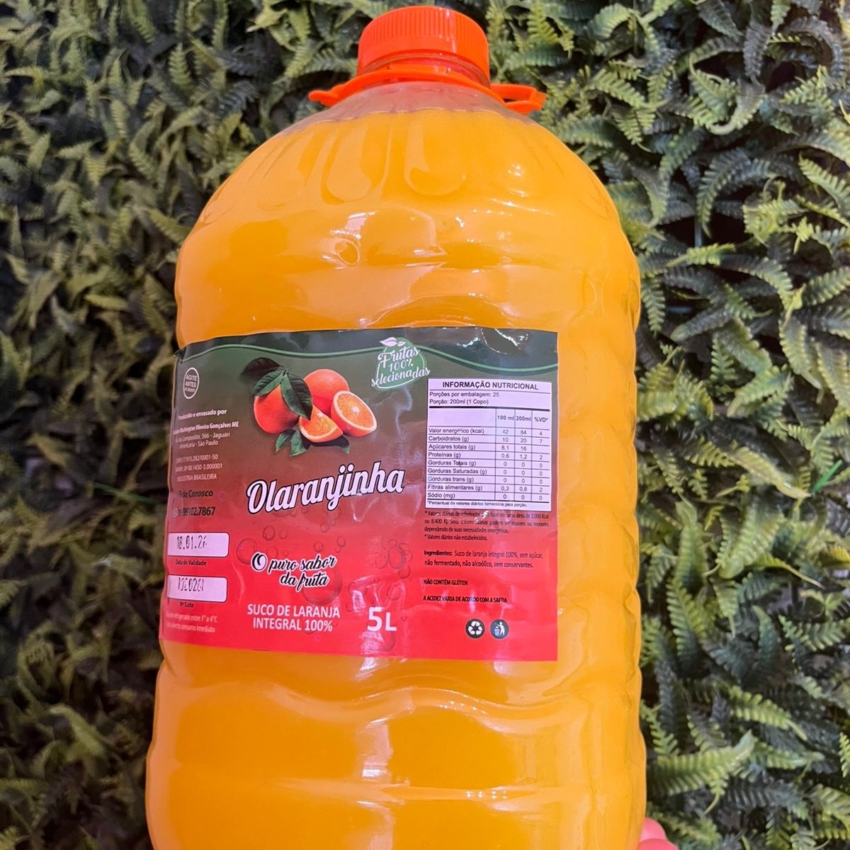Suco de laranja integral Laranja O Puro Sabor da Fruta