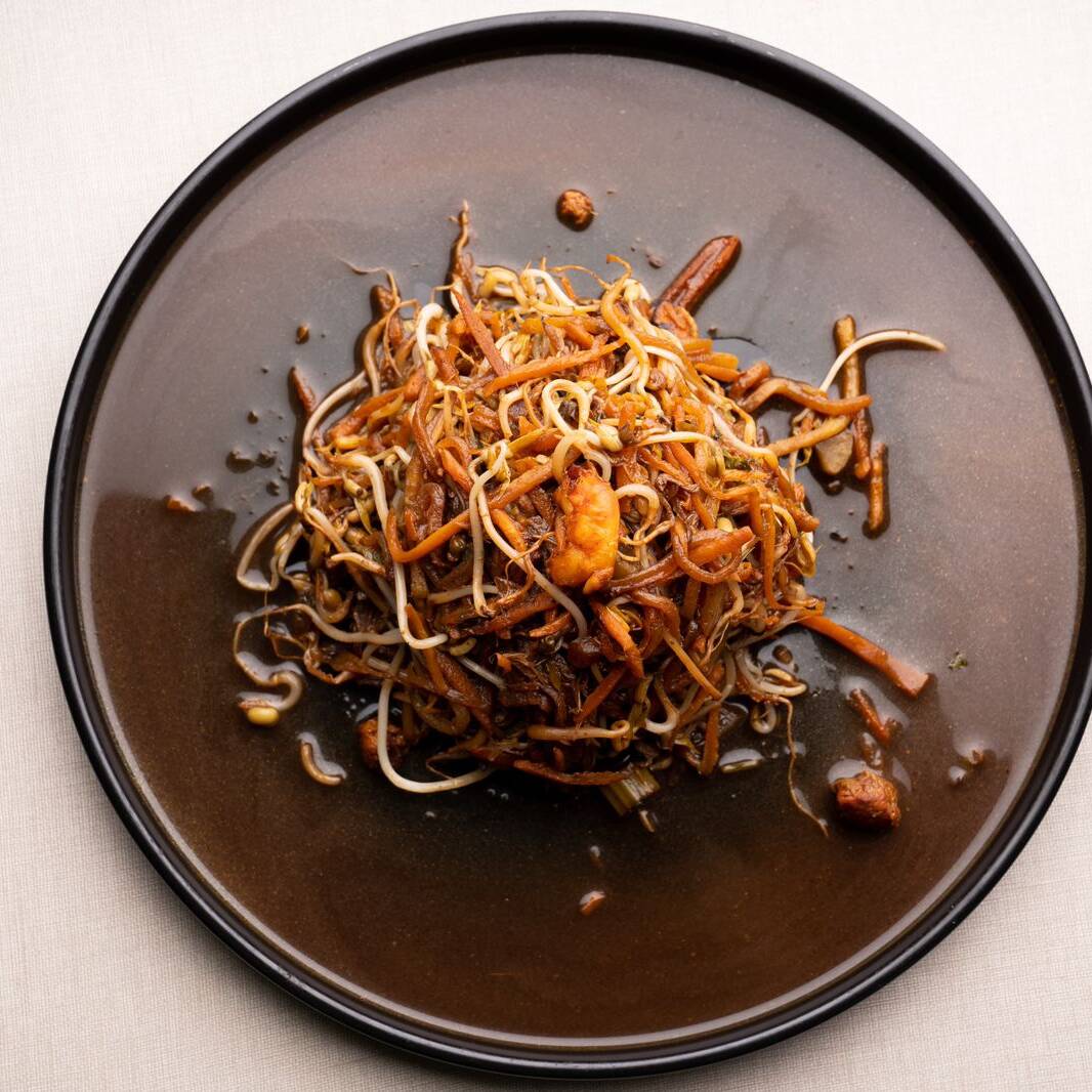 Chop Suey Especial