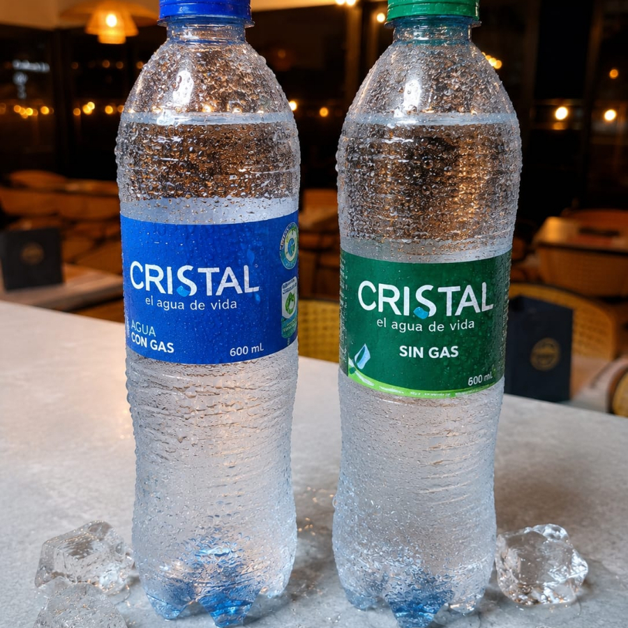 Agua con Gas 600 ml