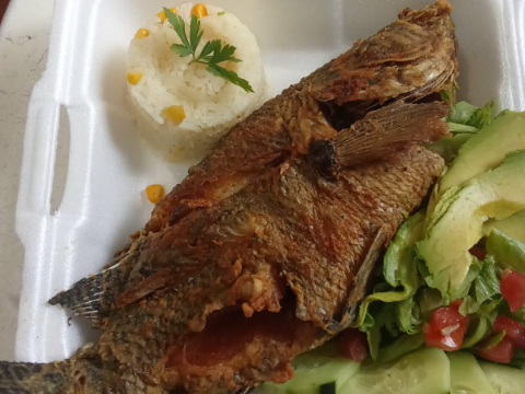 Comida "Internacional"