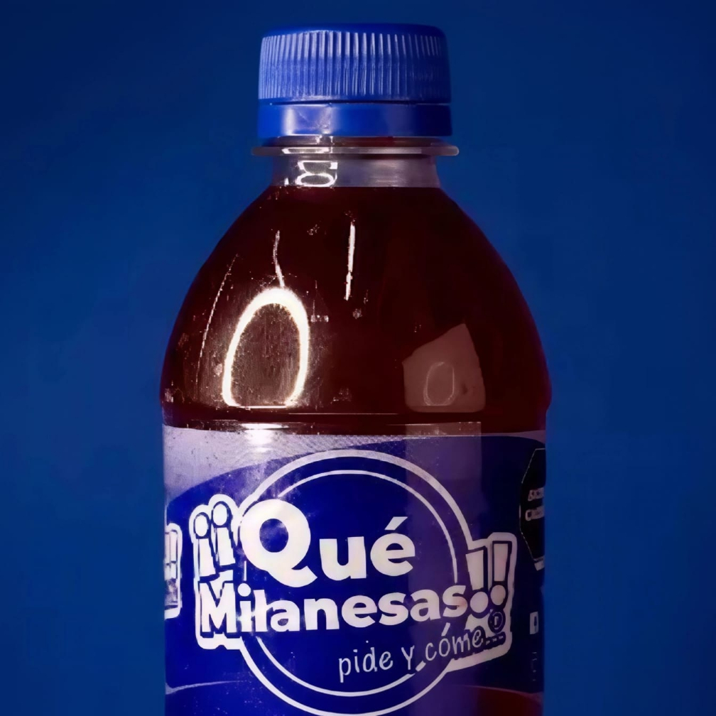 Agua de Jamaica 500 ml