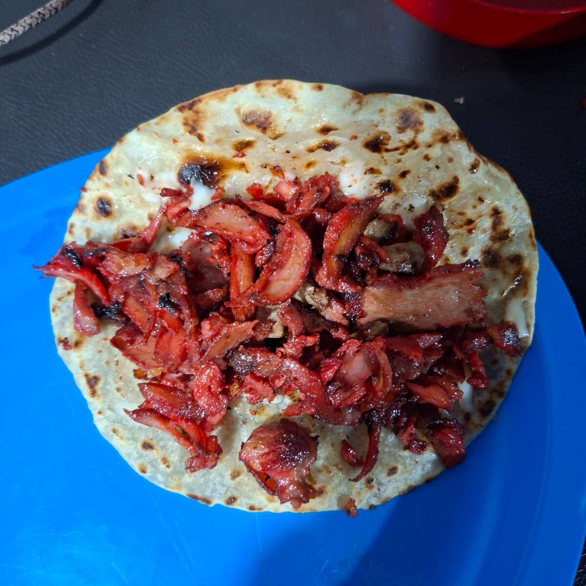 Gringa mediana