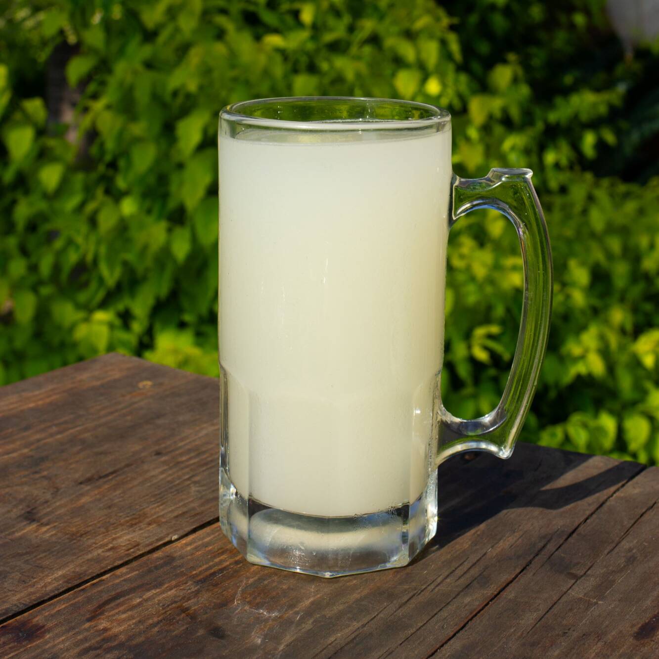 Pulque Natural 1L