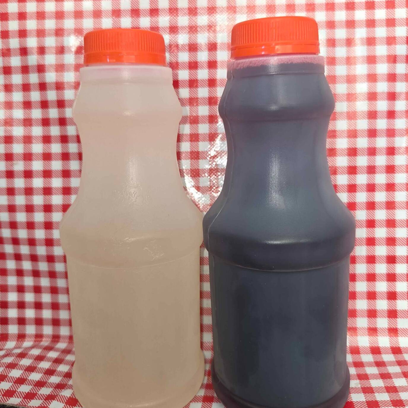 Agua de Jamaica 500 Ml