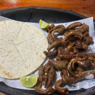 Chunchurrias