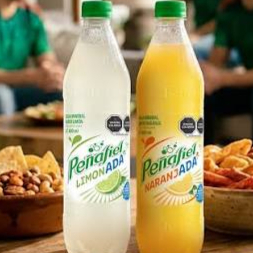 Peñafiel 600ML Natural, Limonada, Naranjada, Twist