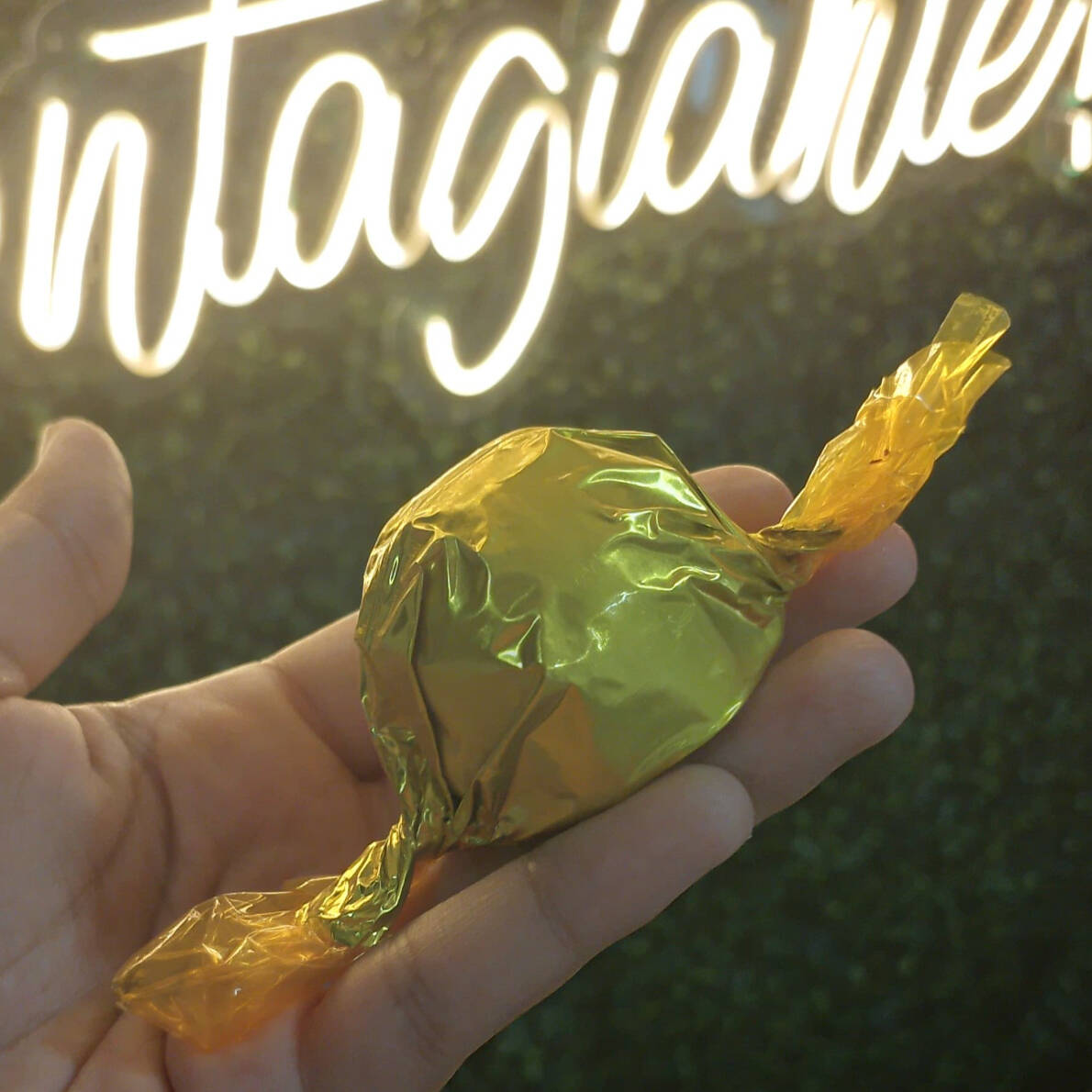 Bombom de chocolate meio amargo, recheado com brigadeiro de ninho e nutella pura. Peso aproximado 35g.