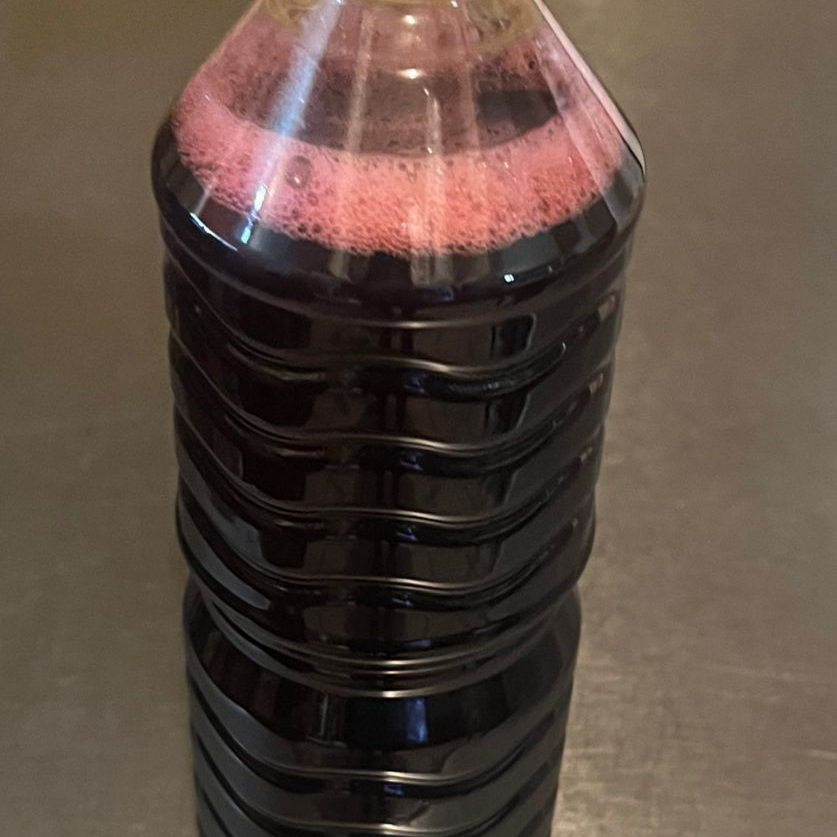 Agua de Jamaica