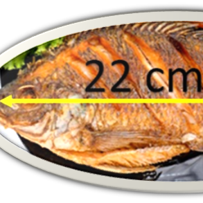 Mojarra Frita