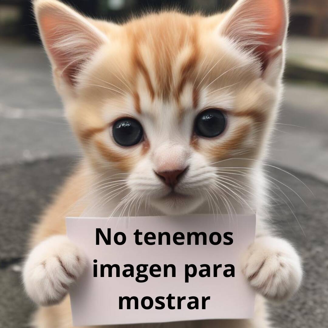 Orden Tacos **SIN COMPLEMENTOS**