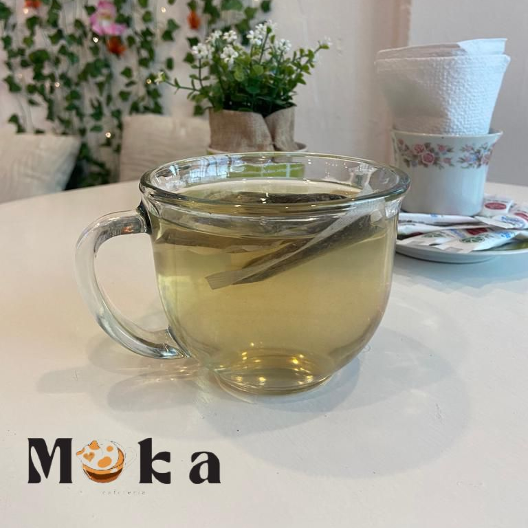 Té de Manzanilla y Menta 16 oz