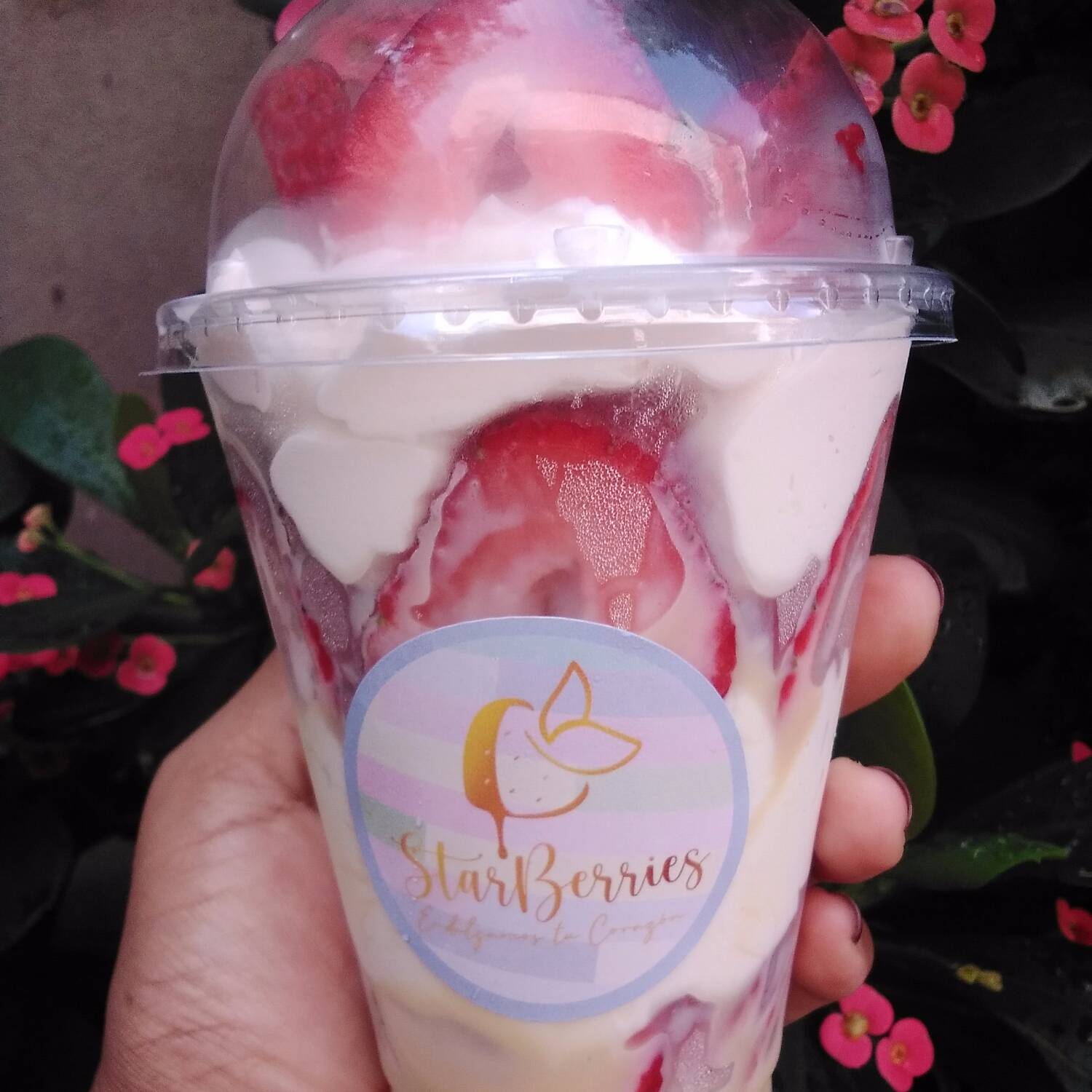 Fresas con Crema Tradicional 14 Oz
