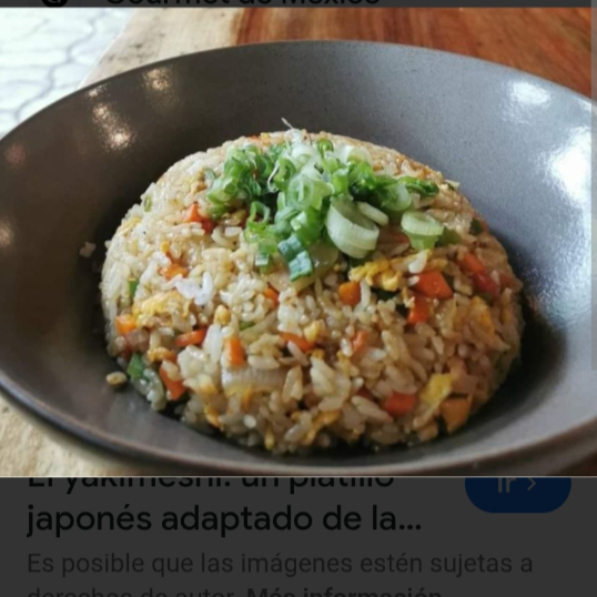 YAKIMESHI CON VERDURAS