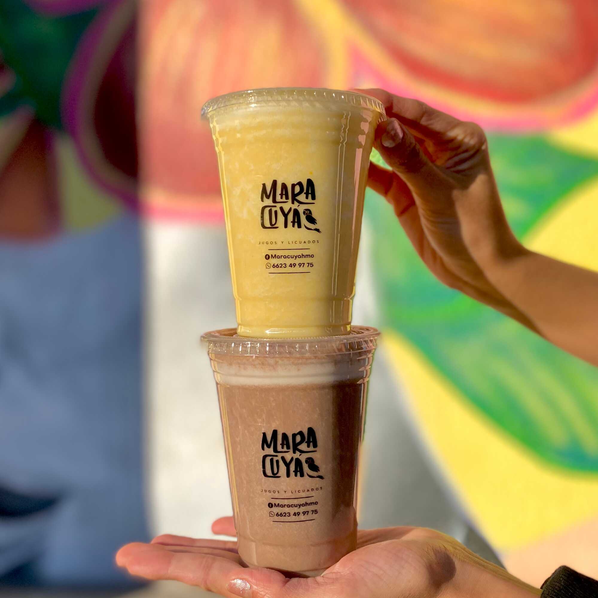 Licuado Combinado