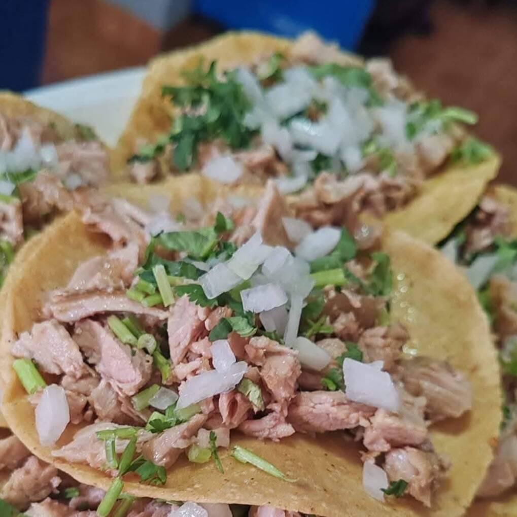 Taco de Carnitas