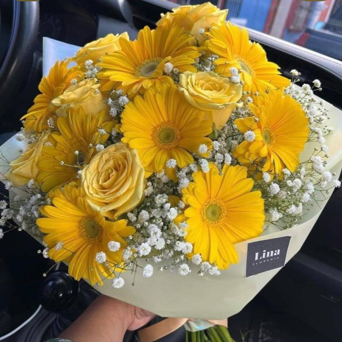 SOL DE PRIMAVERA