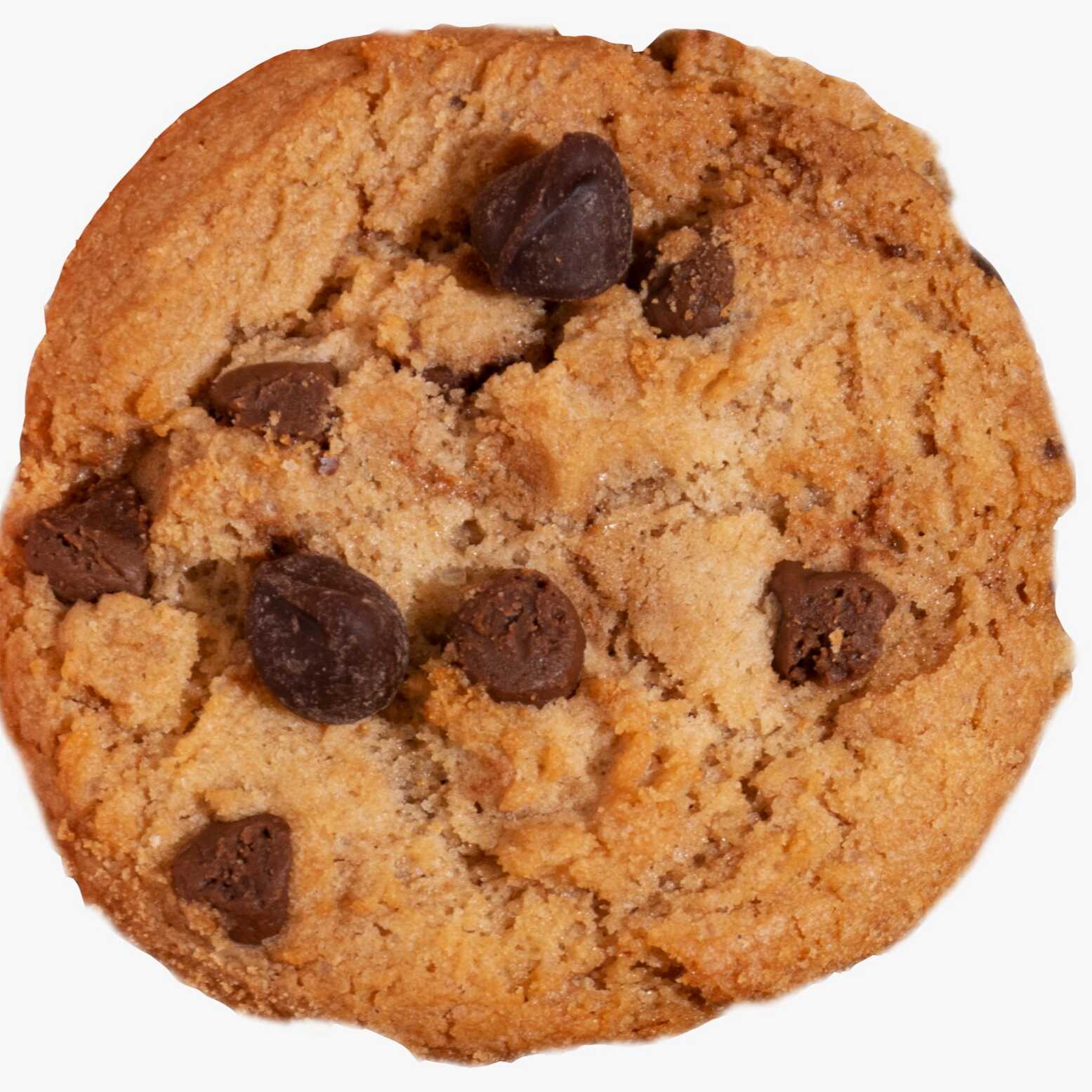 Galleta de Chispas de Chocolate