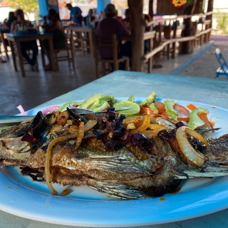 Mojarra al Ajillo