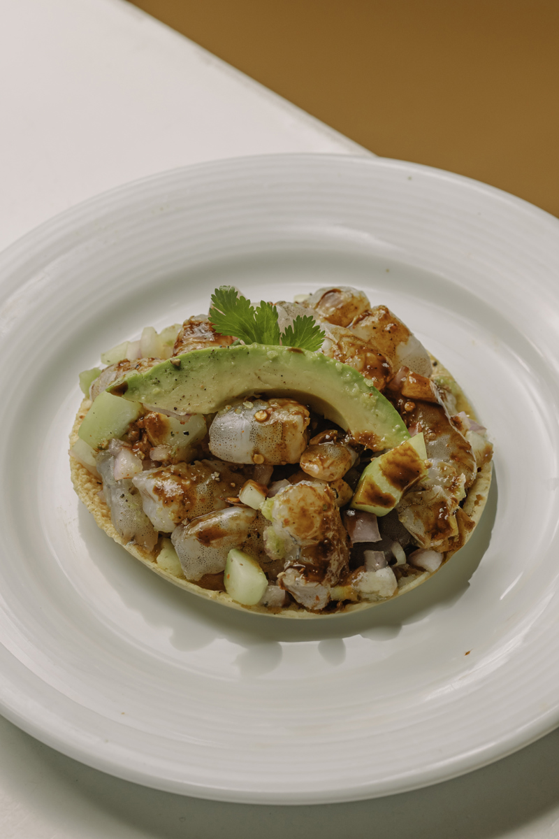 TOSTADA AGUACHILE NEGRO