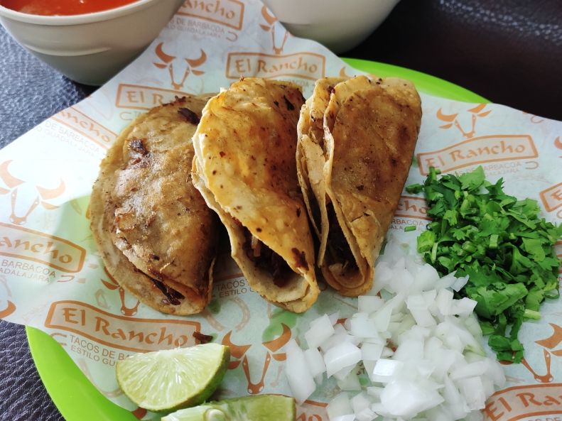 Taco Dorado de Barbacoa