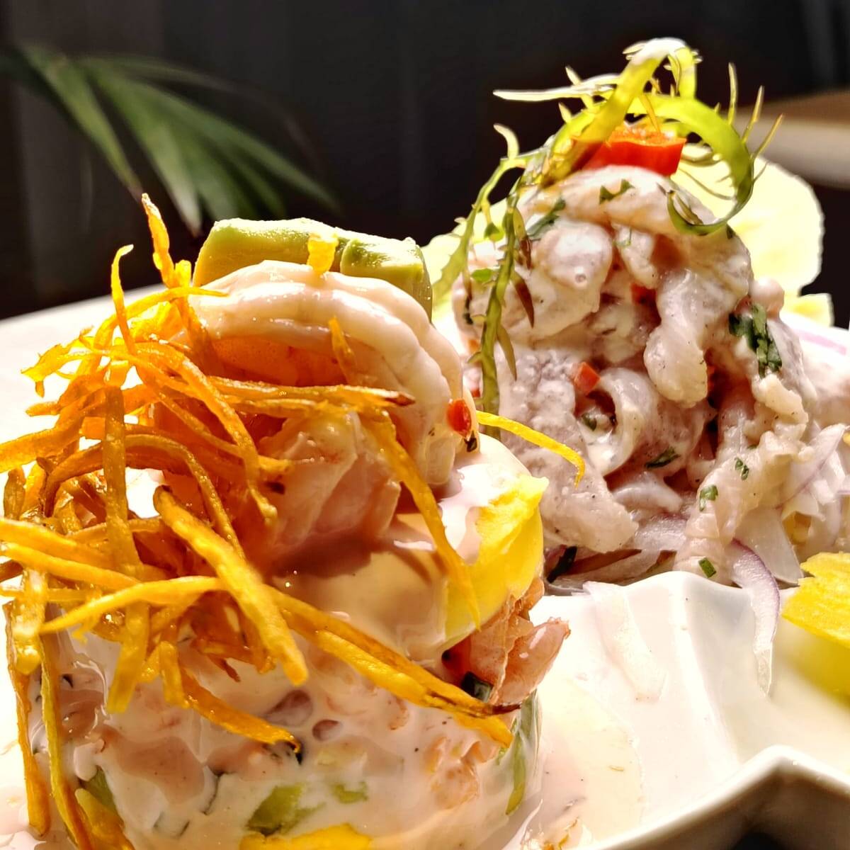Causa + Ceviche