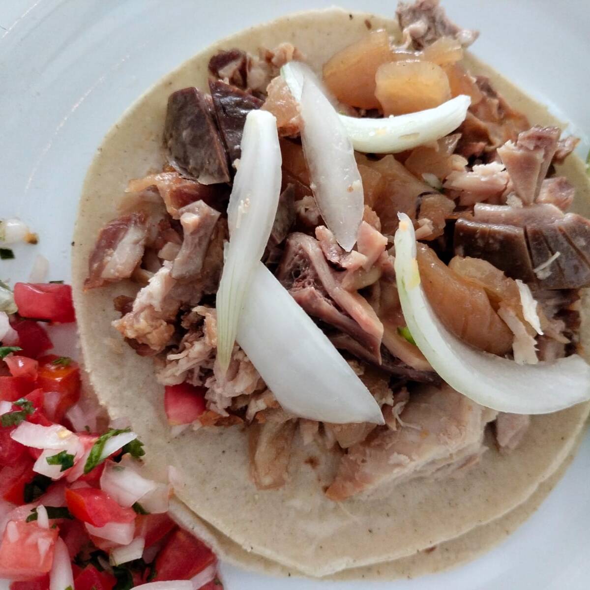 Taco de Carnitas (Surtido)