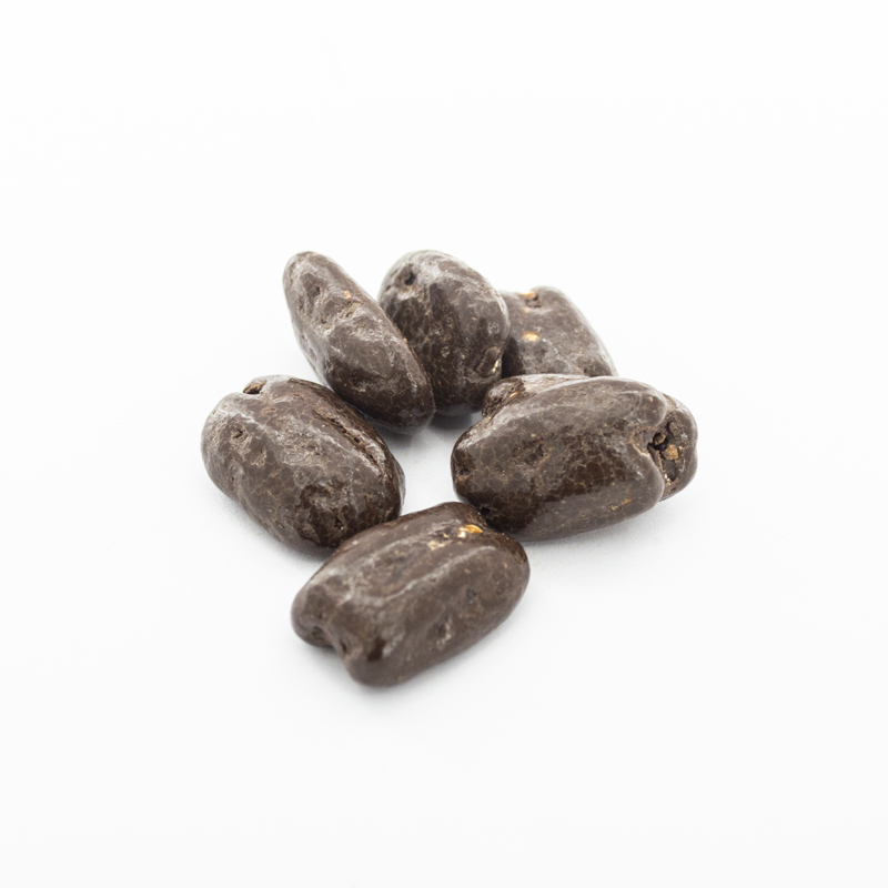 Nuez con Chocolate SIN AZÚCAR (100 Gramos)