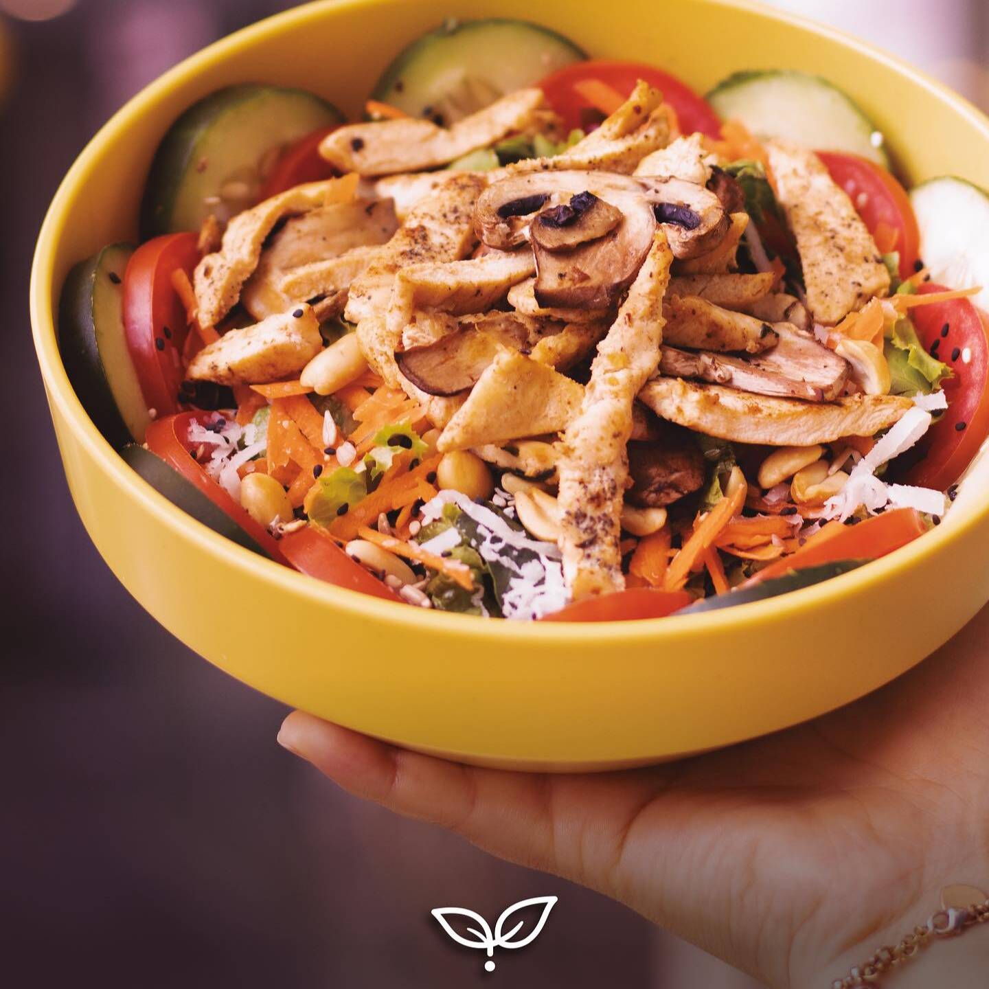 Ensalada de Pollo