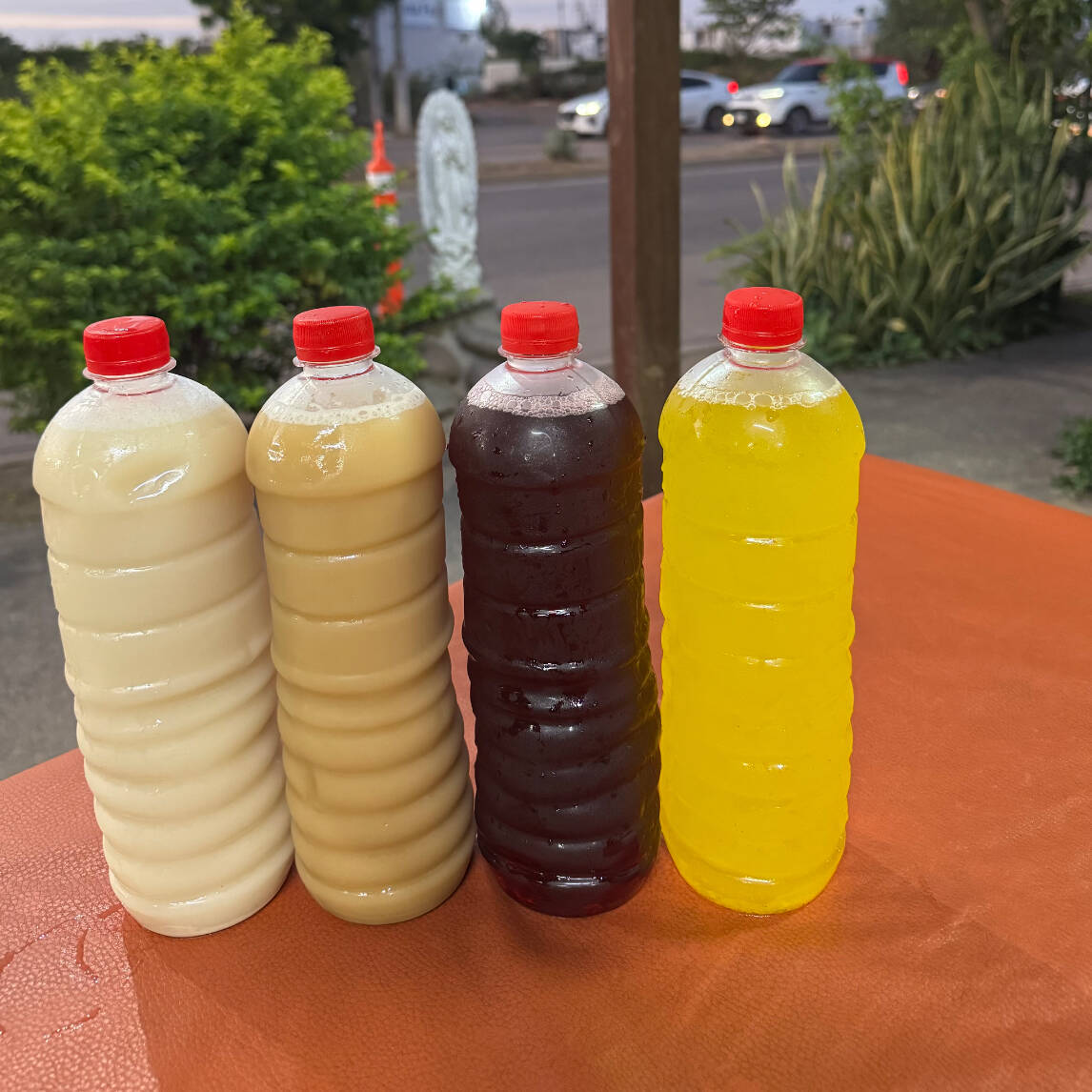 AGUA DE SABOR 1 LT