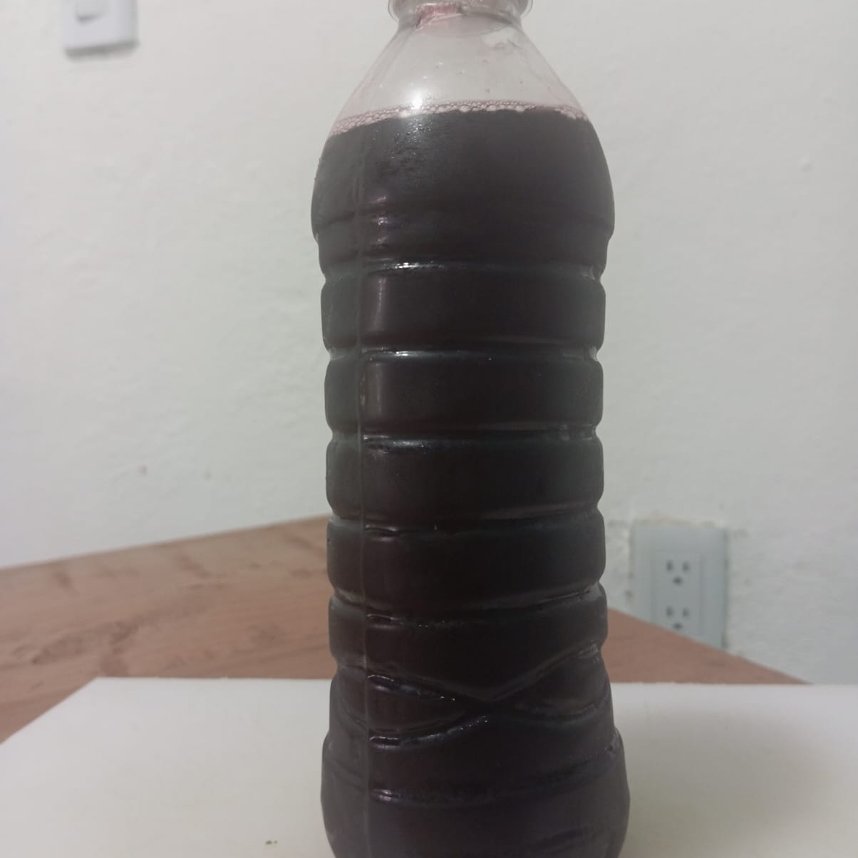 Agua de Jamaica 500 ml