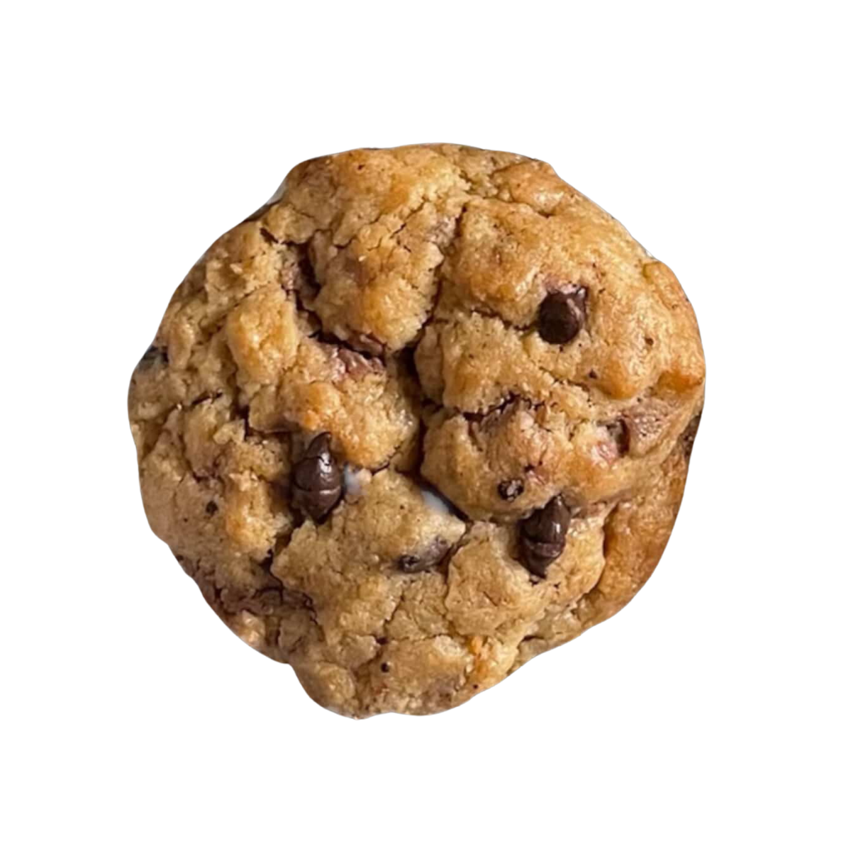 Yummy Cookie